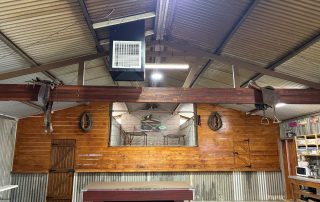 Shearing Shed